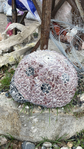 IMG 20230304 WA0086.jpg