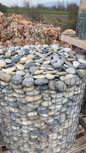 IMG 20230304 WA0136.jpg