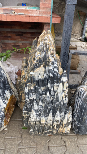 WhatsApp Image 2023 03 04 at 15.15.27.jpg