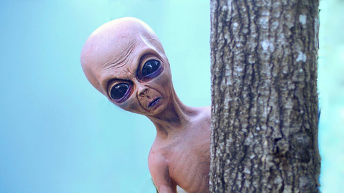 alien.jpg