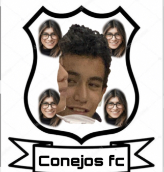 Ver fotos recientes 10.png