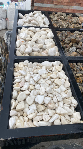 IMG 20230304 WA0255.jpg