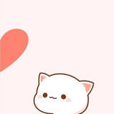 24 243144 cute cat couple cartoon