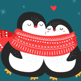 cute couple penguin 1440x2560 10105