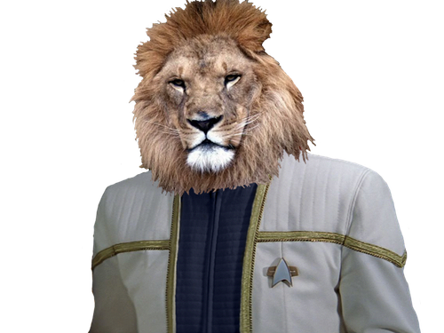 New Project (13).png