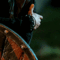 ezgif 3 d7055d1114.gif