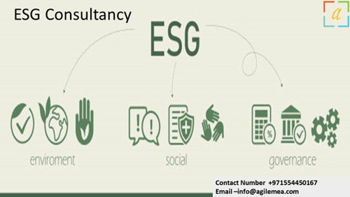 ESG Consultancy 4.jpg