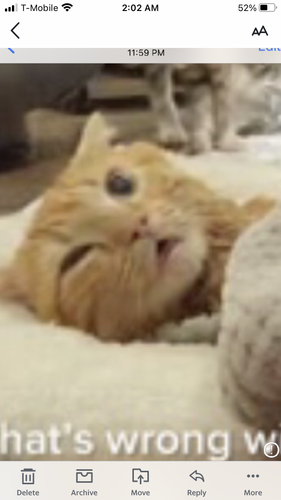 IMG 1423.png