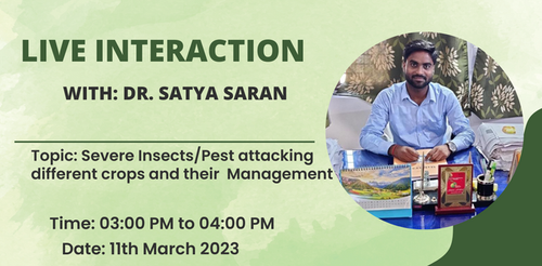 Dr. Satya Saran 2.png