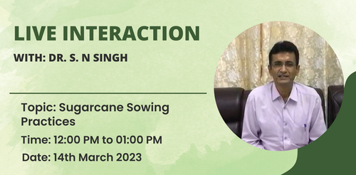 Dr. S. N Singh 4.png