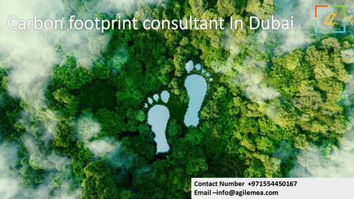 Carbon footprint consultant In Dubai.1.jpg