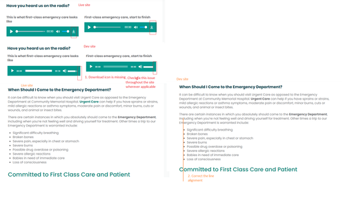5. Emergency Services Design issues.png