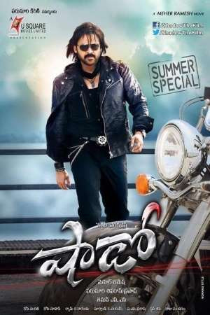 Shadow 2013 UNCUT Dual Audio Hindi Telugu Movie.jpg
