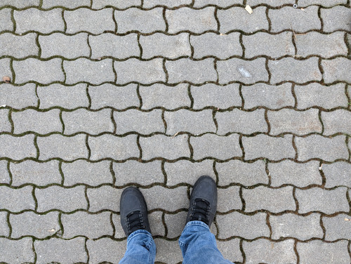 PXL 20230306 122509857.jpg