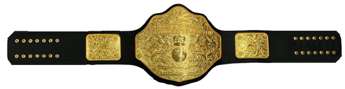 WOrldIMGBelt44 1 (1).png