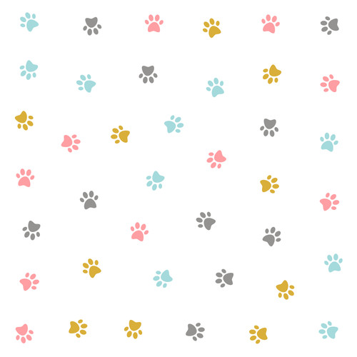 cute colorful kitten pow pattern design.jpg