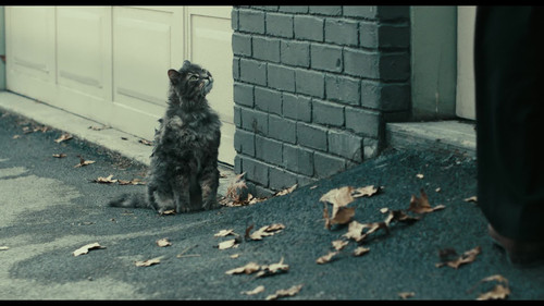 A.Man.Called.Otto.2022.BluRay.1080p.DTS.x264 MTeam 005.jpg
