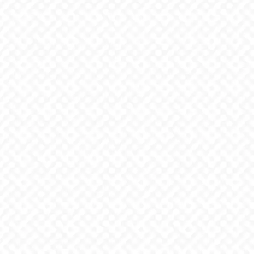pattern white.webp
