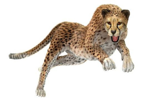 7aa3d3bccda8.jpg