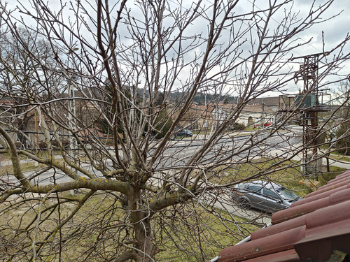 IMG20230305115027.jpg