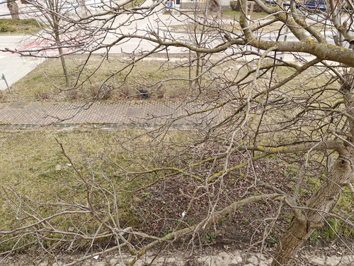 IMG20230305113416.jpg