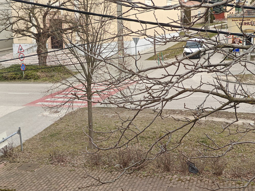 IMG20230305112313.jpg