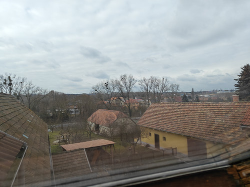 IMG20230305112344.jpg