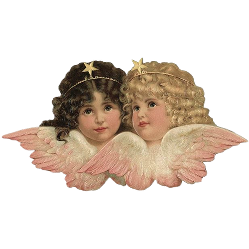 EE661B35 B80B 4A09 83C8 AD85BA9B2739.png