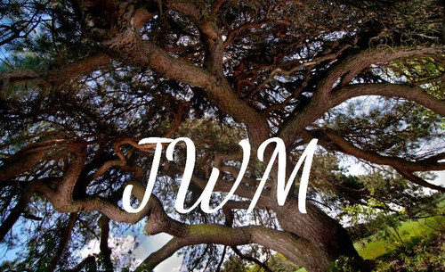 fotor 2023 3 3 21 8 50.jpg