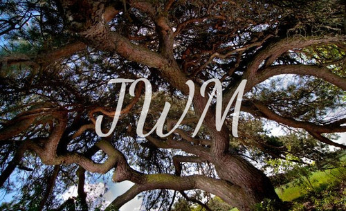 fotor 2023 3 3 21 52 35.jpg