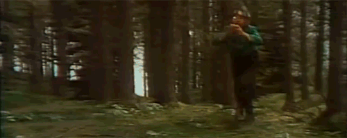 floyte2.gif