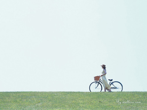 wall001 com GF085a.jpg