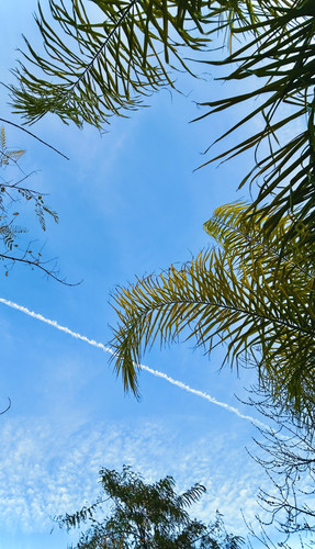 2039067D 0EAB 416A A1BD 9E20CFBBE8F3.jpg