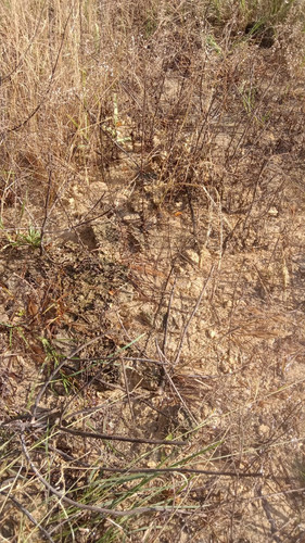 WhatsApp Image 2023 03 08 at 11.52.17 AM.jpg