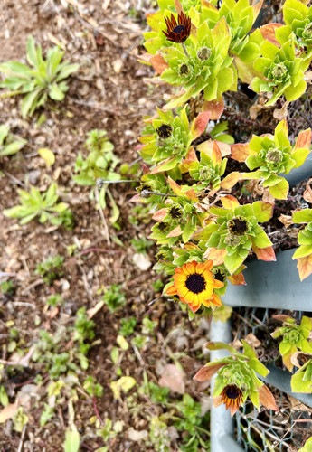 CA953F4F B35D 4DF2 9E63 9E637AA145ED.jpg