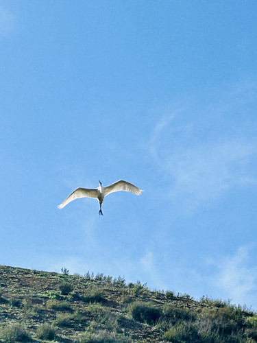 D31EEB06 1877 4879 A875 75FF39856E7F.jpg