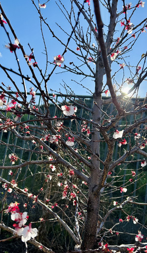 1B56DAED 6596 47E0 B9B6 89F0CA8ADE5D.jpg