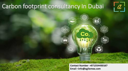 Carbon footprint consultancy In Dubai.1.jpg