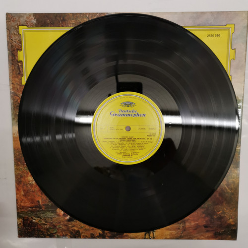 IMG 20230303 163651.jpg