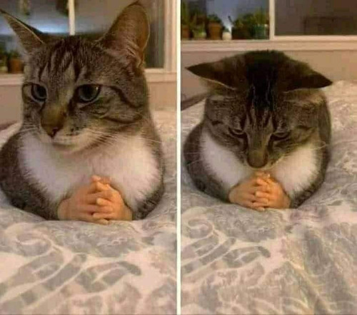 FB IMG 1663225520037.jpg