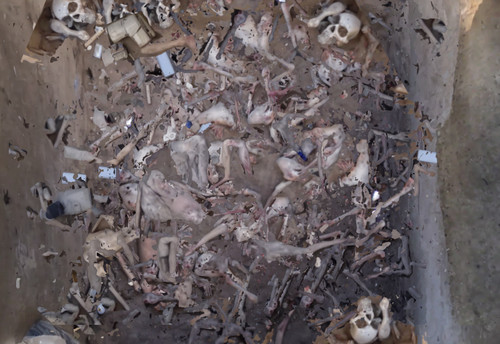 20230302121451 00001 top view of a dead human in a pit of dead bodies photorealistic.jpg