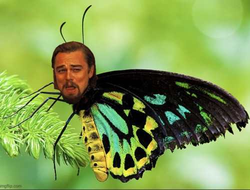 9A54F072 E53C 4528 8A0E A7E8453CF808.jpg