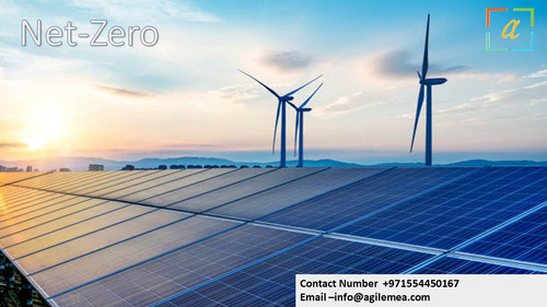 Net Zero . 9.jpg