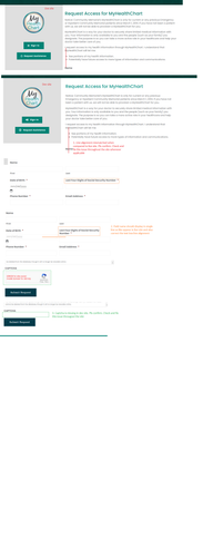 17. MyHealthChart Design Issues.png