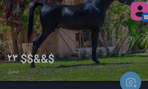 IMG ٢٠٢٣٠٣٠٣ ٠١٣٥٣٢.jpg