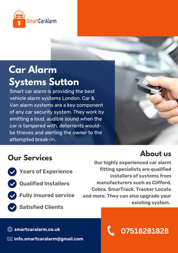 Car alarm systems Sutton (3).jpg
