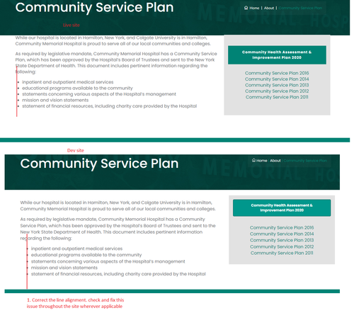 13. Community Service Plan Design Issues.png