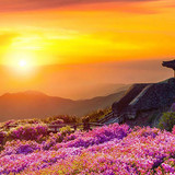 images (1) (29)