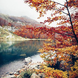 images (1) (31)