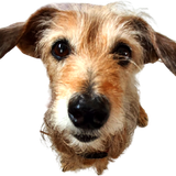 photo1675120932 2 removebg preview.png